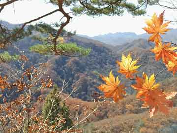 北京主要游玩的地方有哪些，北京必游景點(diǎn)攻略，探索古都的絕佳地點(diǎn)