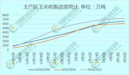 全國玉米價格最新行情分析，全國玉米價格最新行情解析