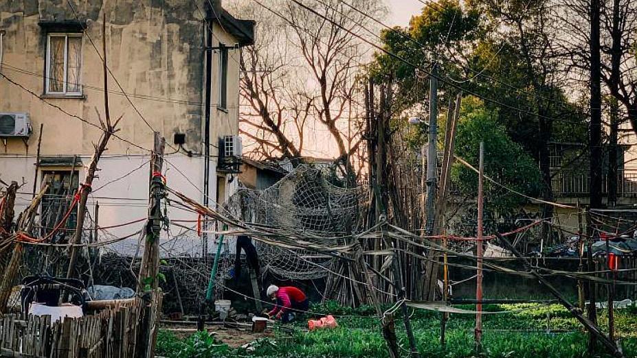 上海最新拆遷動態(tài)，變化中的城市面貌與居民生活，上海拆遷最新動態(tài)，城市面貌與居民生活的變遷