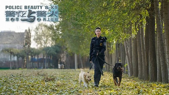 警花與警犬2最新消息，熱血回歸，人與犬的正義新篇章，警花與警犬2熱血回歸，人與犬的正義新篇章最新消息