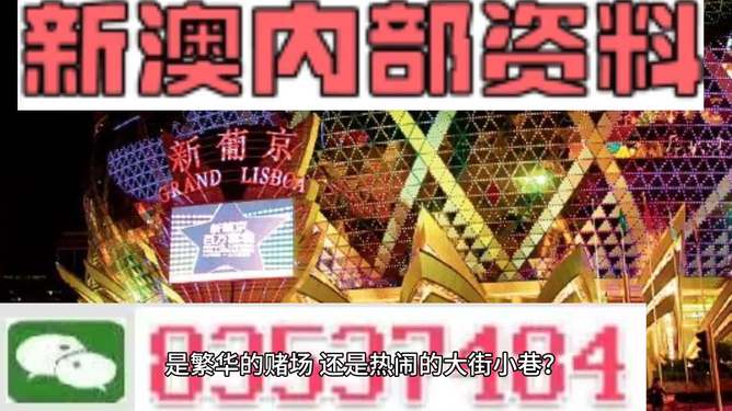 新澳門精準(zhǔn)資料大全管家婆料,實(shí)地解析說明_尊享款19.550