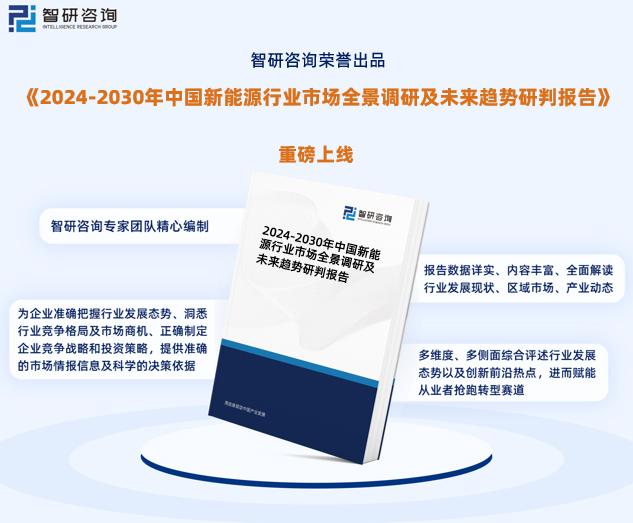 揭秘2024新奧正版資料免費獲取途徑，揭秘，免費獲取2024新奧正版資料的途徑