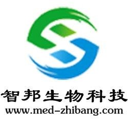 武漢維新智云科技有限公司，引領(lǐng)科技前沿，塑造數(shù)字未來(lái)，武漢維新智云科技，引領(lǐng)數(shù)字未來(lái)，科技前沿領(lǐng)航者