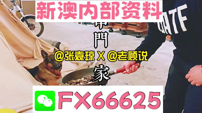 管家婆免費(fèi)資料大全公開，探索與解析，管家婆免費(fèi)資料大全揭秘，探索與解析