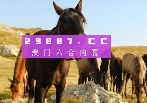 澳門管家婆免費資料查詢系統(tǒng)，探索與解析（2024版），澳門管家婆免費資料查詢系統(tǒng)解析（最新2024版）