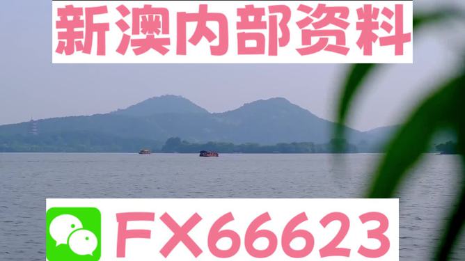 揭秘新澳精準(zhǔn)資料大全背后的真相與風(fēng)險警示，揭秘新澳精準(zhǔn)資料背后的真相與風(fēng)險警示全解析