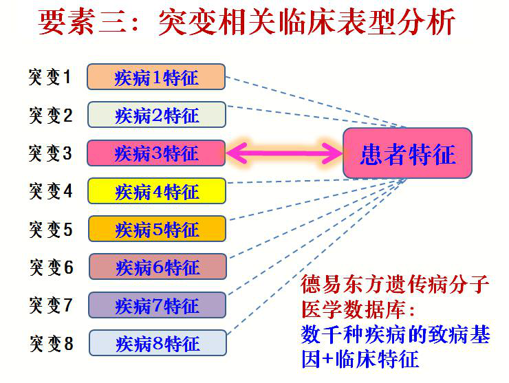 臺(tái)塑石化倒閉原因分析，臺(tái)塑石化倒閉原因深度解析