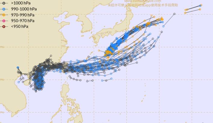 今年二號臺風(fēng)最新消息及其影響分析，今年二號臺風(fēng)最新動態(tài)及其影響深度解析