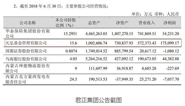 君正集團(tuán)未來估值，展望與預(yù)測