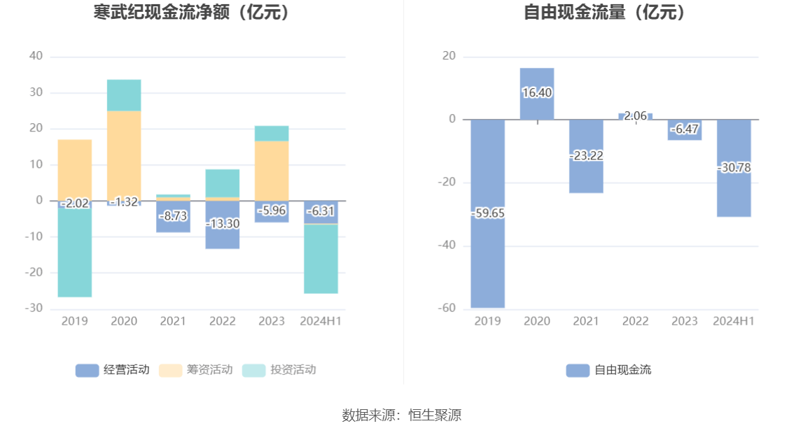 寒武紀(jì)2024年目標(biāo)價(jià)的深度解析與展望，寒武紀(jì)2024年目標(biāo)價(jià)的深度解析及展望，未來趨勢(shì)與市場(chǎng)預(yù)測(cè)