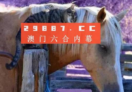 澳門必中一肖一碼四不像——揭開犯罪現(xiàn)象的神秘面紗，澳門犯罪現(xiàn)象揭秘，揭秘必中一肖一碼四不像的神秘面紗