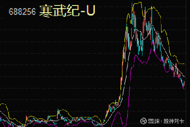 寒武紀(jì)重組最新消息，引領(lǐng)科技變革的新篇章，寒武紀(jì)重組引領(lǐng)科技變革新篇章，最新消息揭秘