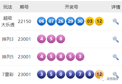 新澳門六開彩開獎結(jié)果2020年回顧與展望，澳門六開彩開獎結(jié)果回顧與展望，2020年回顧與未來展望