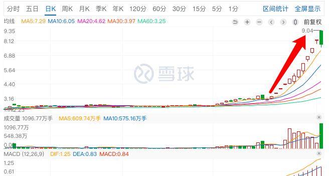 君正集團，是妖股還是價值投資之選？，君正集團，價值投資還是妖股之爭？