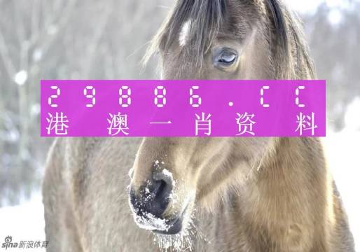 澳門一肖一碼100準(zhǔn)免費(fèi),動(dòng)態(tài)詞語(yǔ)解釋落實(shí)_HD38.32.12