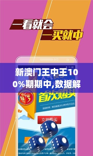 澳門王中王100%期期中,數(shù)據(jù)導向設計解析_SE版60.770