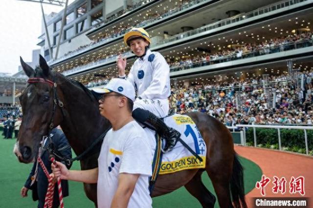 香港特馬王資料免費(fèi)公開，揭露違法犯罪問題的重要性，香港特馬王資料揭露違法犯罪問題的重要性，公開資料揭示真相