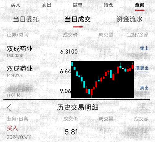 雙成藥業(yè)股票長期持有的價(jià)值分析，雙成藥業(yè)股票長期持有的價(jià)值深度解析