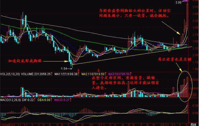 探尋未來之星，2025年有望翻十倍的潛力股票，探尋未來之星，潛力股票展望2025年十倍增長之路