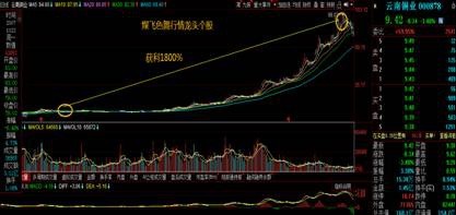 威爾泰股吧，探索企業(yè)潛力與機(jī)遇的舞臺(tái)，威爾泰股吧，企業(yè)潛力與機(jī)遇的探索舞臺(tái)