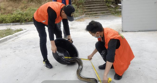 男子撞死二級保護動物被判賠1.5萬，法律對野生動物保護的警示，男子撞死二級保護動物獲判賠1.5萬，法律對野生動物保護的嚴肅警示