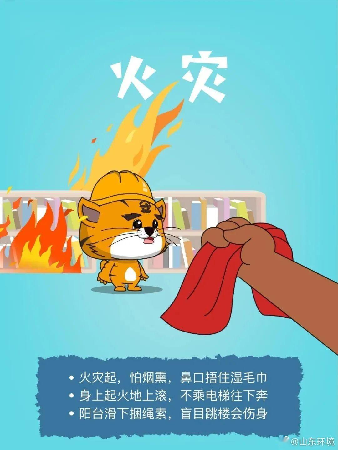 探究猴災(zāi)影響，未來至2025年的挑戰(zhàn)與應(yīng)對策略，猴災(zāi)影響深度解析，至2025年的挑戰(zhàn)與應(yīng)對策略