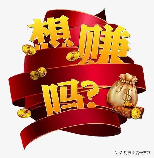 一天賺500，如何實現(xiàn)你的收入目標，一天賺500，實現(xiàn)你的收入目標指南