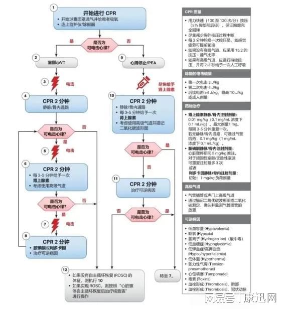 最新CPR（心肺復(fù)蘇術(shù)）流程詳解，最新CPR（心肺復(fù)蘇術(shù)）流程全面解析