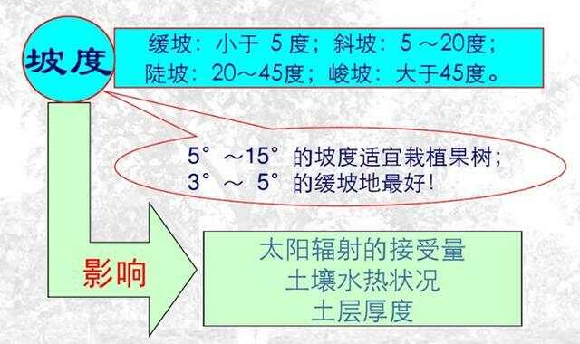 坡度超過(guò)25度耕地減少的原因分析，坡度超過(guò)25度耕地減少的原因探究