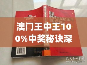 澳門王中王100,專業(yè)數據解釋定義_QHD51.327