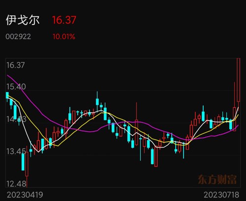 伊戈?duì)柟砂蓶|方財(cái)富，股市新星與投資者的新選擇，伊戈?duì)柟砂蓶|方財(cái)富，股市新星，投資者的新選擇