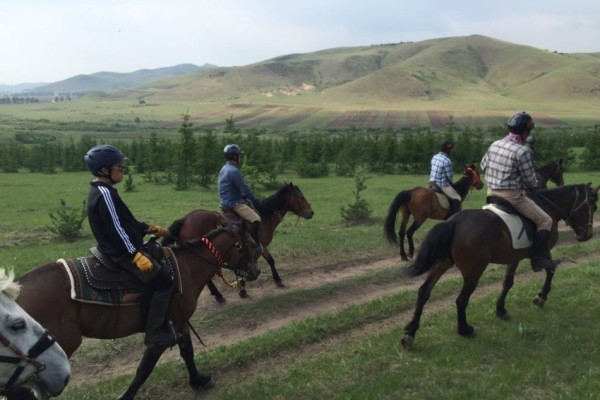 關(guān)于澳門特馬今晚開獎的討論與警示，澳門特馬今晚開獎討論及警示