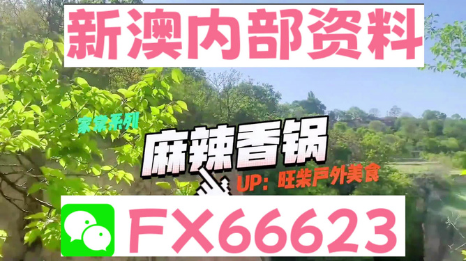 新澳精準(zhǔn)資料免費(fèi)提供的深度解析，新澳精準(zhǔn)資料深度解析，免費(fèi)提供的內(nèi)幕揭秘