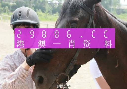 澳門今晚必中一肖一碼準(zhǔn)確，揭開預(yù)測背后的真相與警示，澳門預(yù)測背后的真相與警示，揭秘今晚必中一肖一碼的準(zhǔn)確性問題