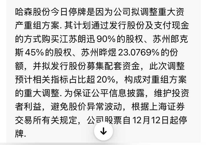 哈森股份怎么了，深度探究與前景展望，哈森股份深度探究，現(xiàn)狀分析與未來前景展望