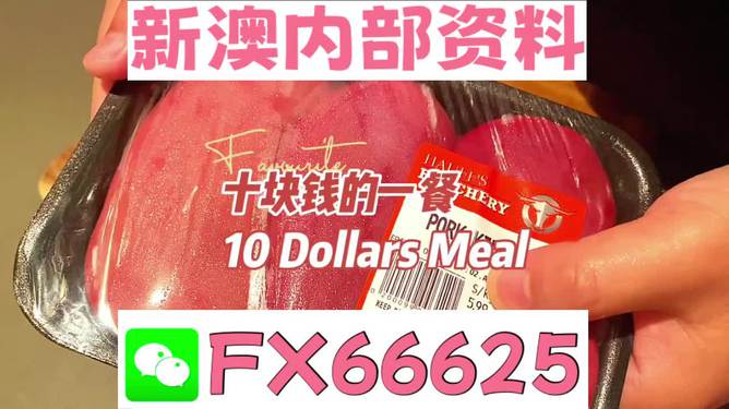 新澳全年免費(fèi)資料大全，探索與收獲，新澳全年免費(fèi)資料大全，探索之旅與收獲的時(shí)刻