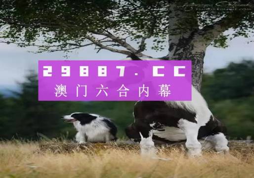 澳門今晚開特馬四不像圖——探索澳門彩票的奧秘，澳門彩票奧秘探索，特馬四不像圖今晚揭曉