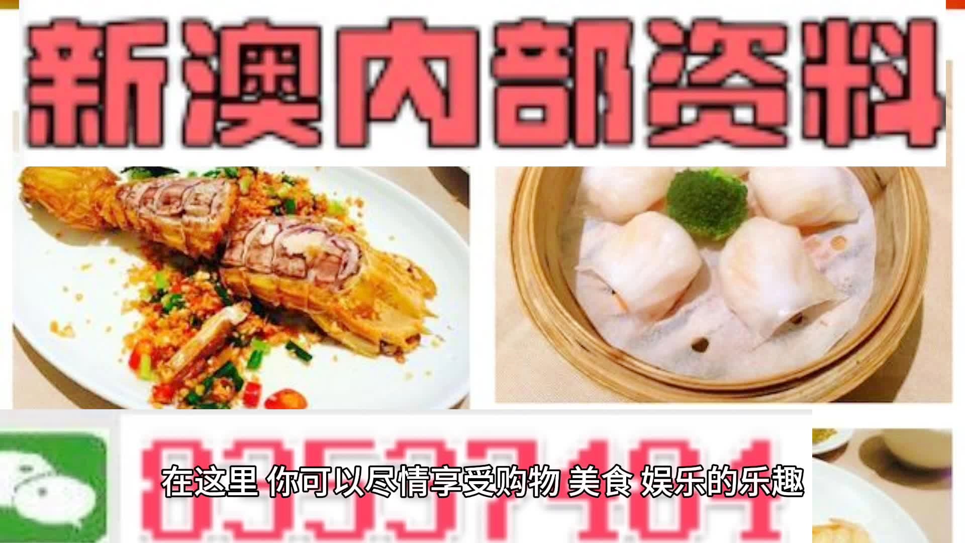 新奧天天精準(zhǔn)資料大全，探索與解讀，新奧天天精準(zhǔn)資料大全，深度探索與解讀