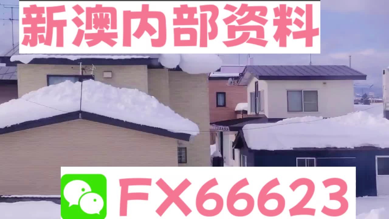 新奧天天精準(zhǔn)資料大全，深度解析與實(shí)際應(yīng)用，新奧天天精準(zhǔn)資料大全，深度解析及實(shí)際應(yīng)用指南