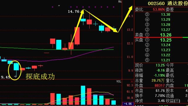 通達股份股票股吧，深度解析與前景展望，通達股份股票股吧深度解析及前景展望