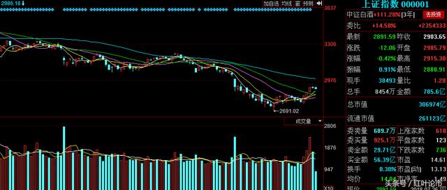 中成股份，探尋未來(lái)之路，2024年能否成為妖股之星？，中成股份，探尋未來(lái)之路，2024年妖股潛力展望