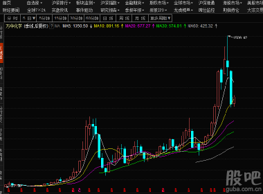 股吧600309，深度解析與前景展望，股吧600309深度解析與未來(lái)前景展望