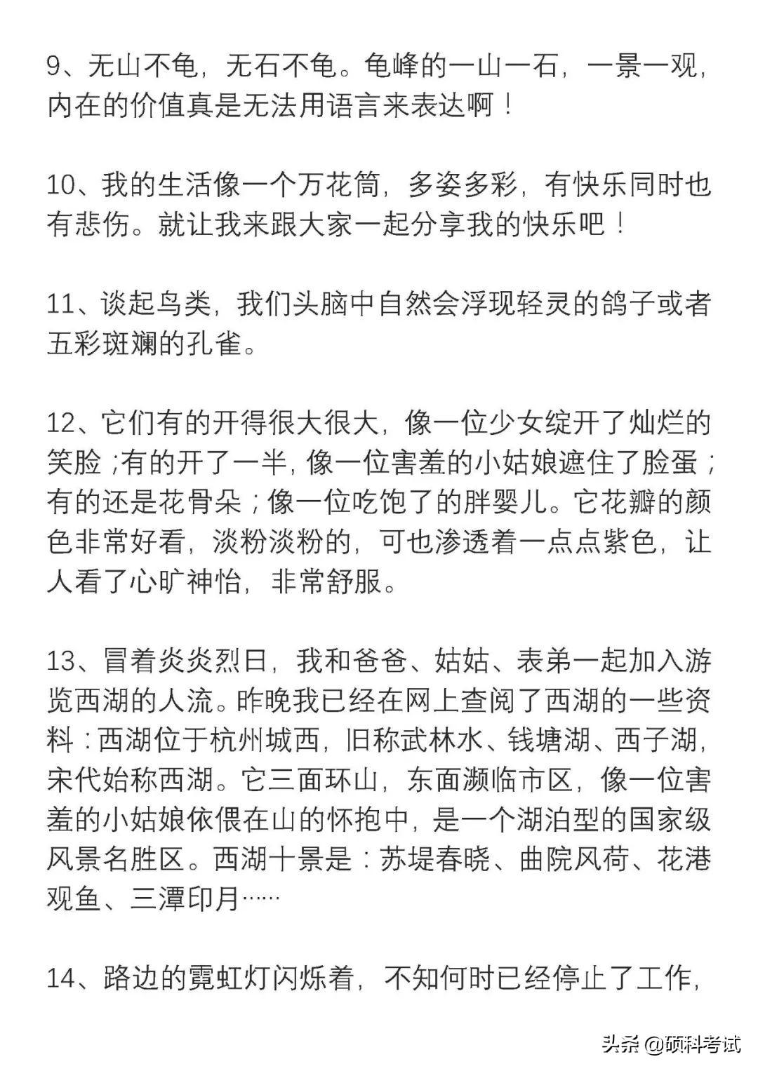 四年級新聞?wù)?，一則關(guān)于環(huán)保的新聞報道，四年級環(huán)保新聞?wù)?，關(guān)注環(huán)境保護的最新動態(tài)