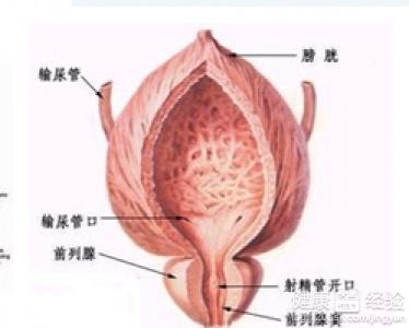 治療前列腺炎的最佳方法，治療前列腺炎的最佳方法解析