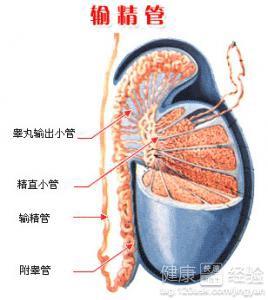 男性結(jié)扎手術(shù)費用多少，全面解析費用構(gòu)成與影響因素，男性結(jié)扎手術(shù)費用詳解，構(gòu)成、影響因素全解析