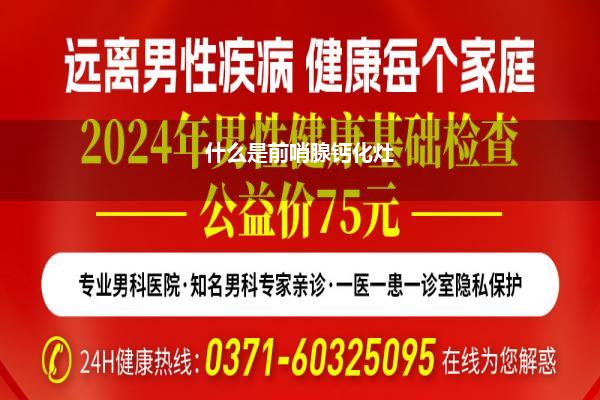 男性健康網(wǎng)上咨詢，探索新時代健康之路，男性健康網(wǎng)上咨詢，探索新時代的健康之路