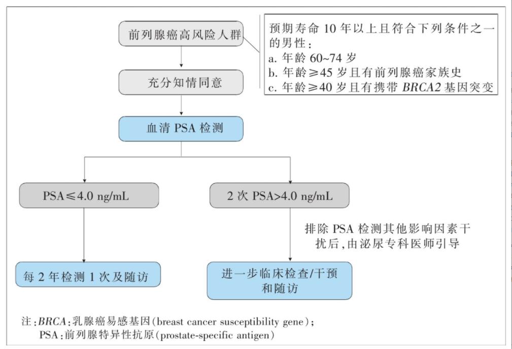 男性健康咨詢在線，探索新時(shí)代男性健康之路，男性健康咨詢在線，探索新時(shí)代男性健康之路的旅程