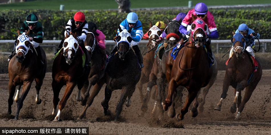 探索神秘數(shù)字組合，66O678與王中王定碼四不像一肖，揭秘神秘數(shù)字組合，王中王定碼四不像一肖與數(shù)字組合探索