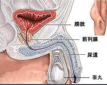 第503頁(yè)