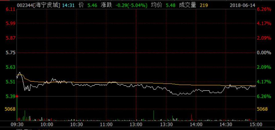 海寧皮城(002344)股吧深度解析，海寧皮城(002344)股吧全面深度解析